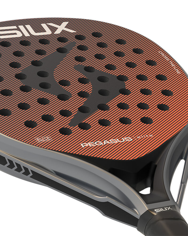 Siux Pegasus elite 2026