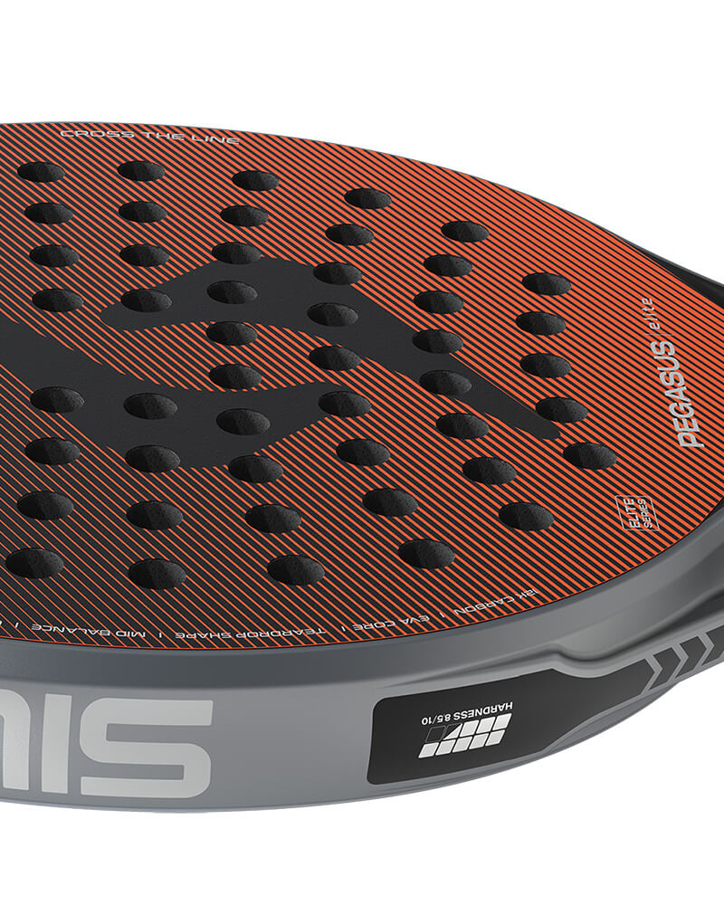 Siux Pegasus elite 2026