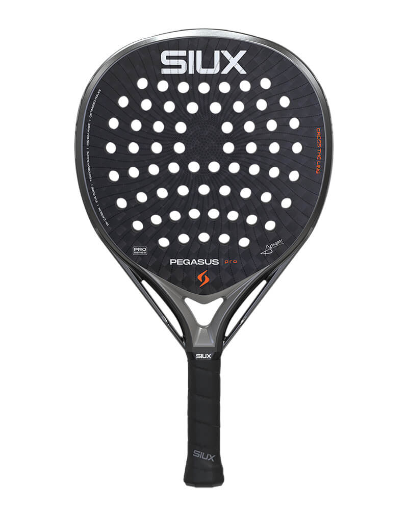 Siux Pegasus Pro 2026 Stormo Gray