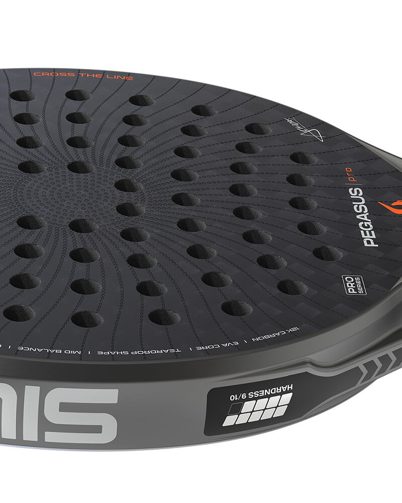 Siux Pegasus Pro 2026 Stormo Gray