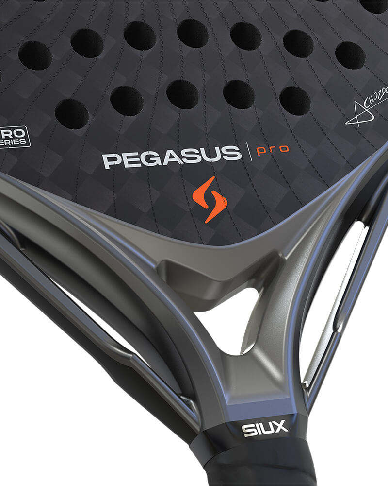 Siux Pegasus Pro 2026 Stormo Gray